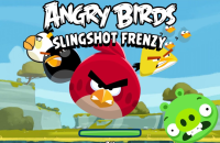 Angry Birds Slingshot Frenzy