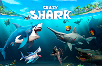 Play Crazy Shark now!