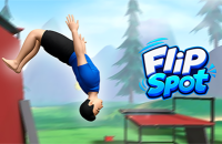 Play Flip Spot now!