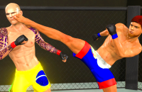 Play MMA fighting 3D now!
