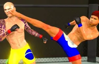 Play MMA fighting 3D now!