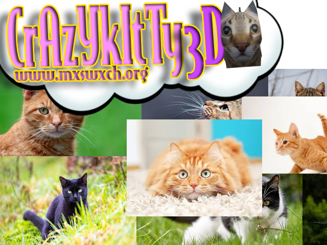 Crazy Kitty 3D - Purr-fect Adventure Awaits!